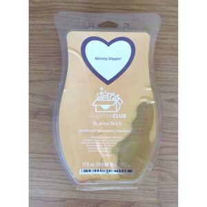 Scentsy Club Skinny Dippin Scentsy Brick Wax Melt 15 oz 17 fl oz Large New